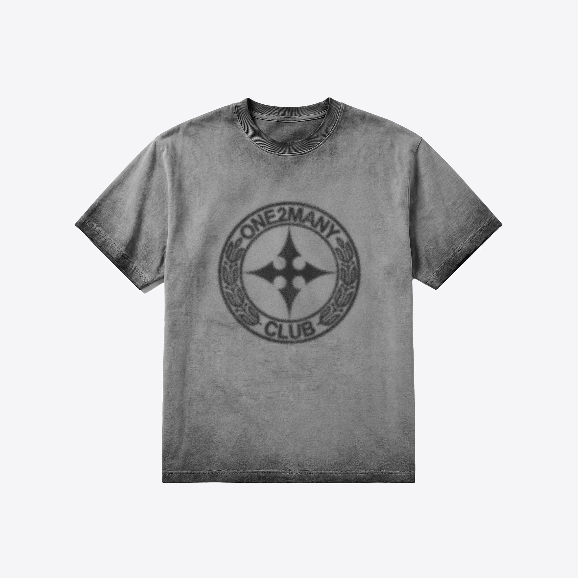 Heavyweight Washed Emblem T-Shirt