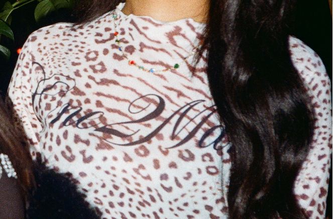 Ladies Leopard Mesh Top